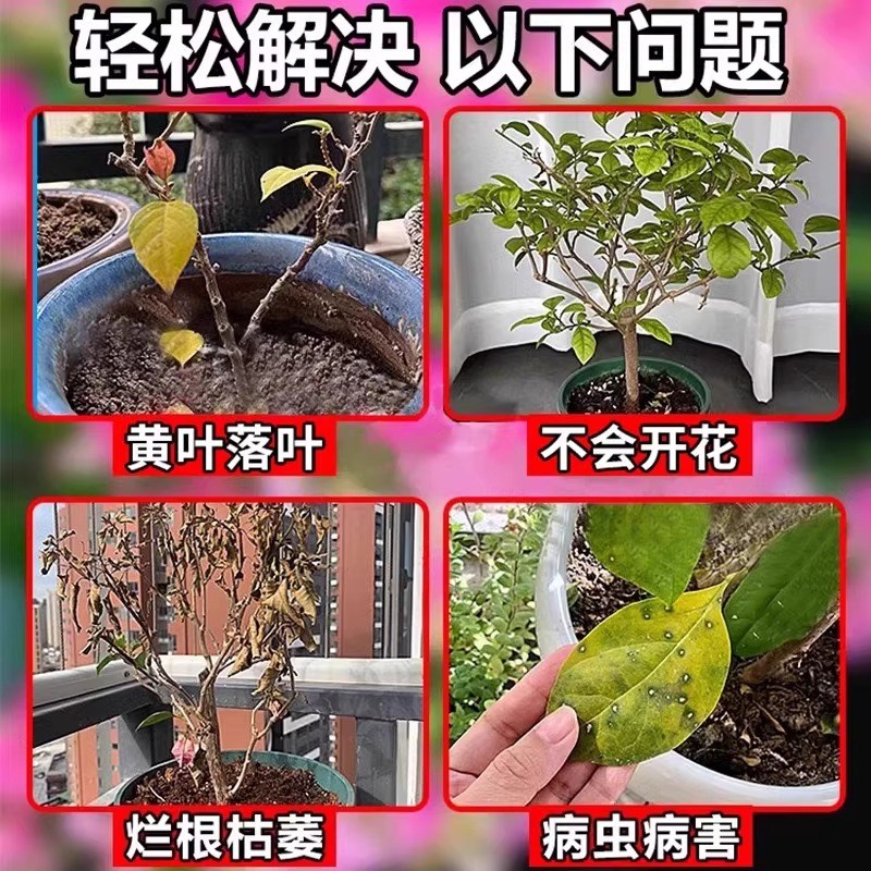 三角梅复活液植物再生营养液枯树烂根黄叶强力生根药水通用复活液