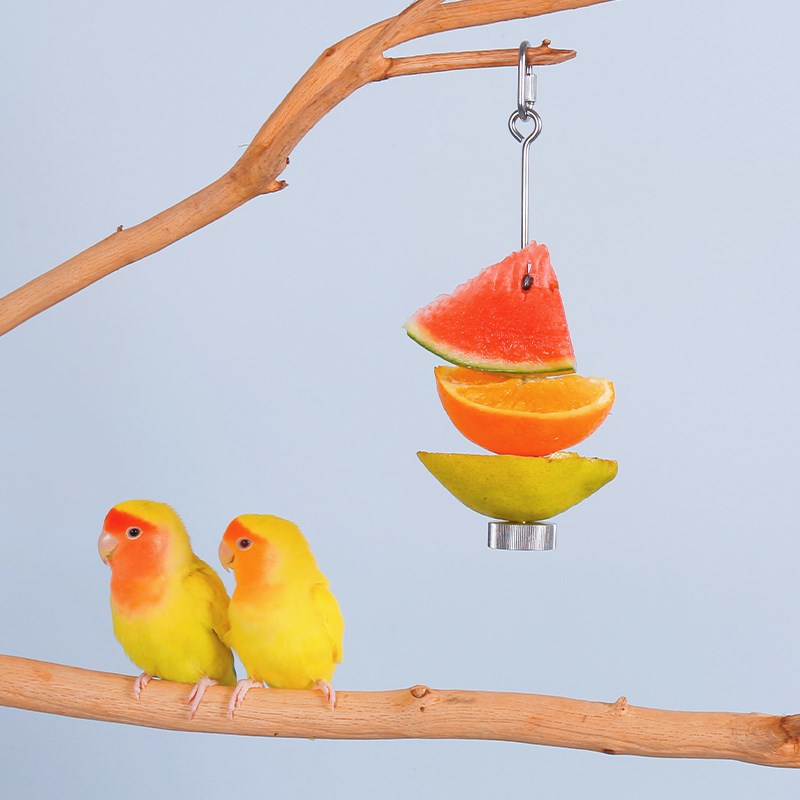 鹦鹉鸟用不锈钢水果叉啃咬玩具水果棒喂食器鸟类喂水果专用夹子