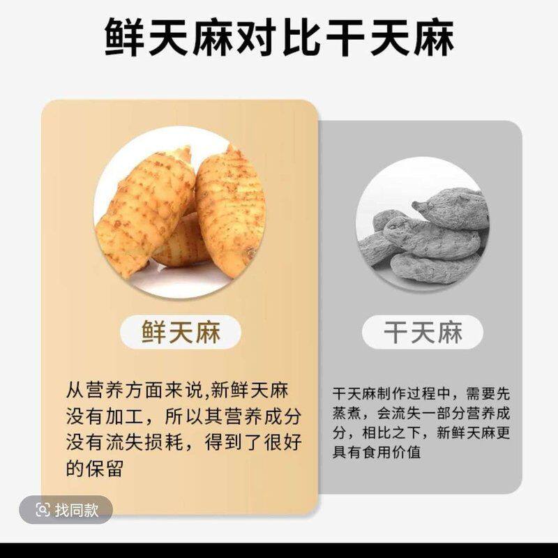 「义秋家鲜天麻」昭通小草坝天麻厂家产地直销适合煲汤送礼