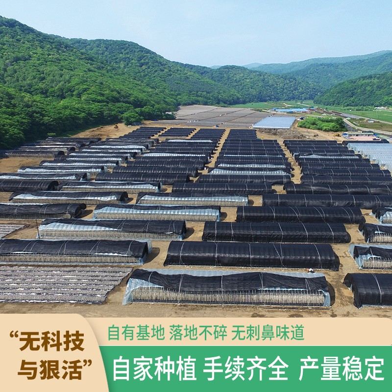 【产地直发】正宗长白山黑木耳 有机认证 泡发率高 无根无泥 肉厚