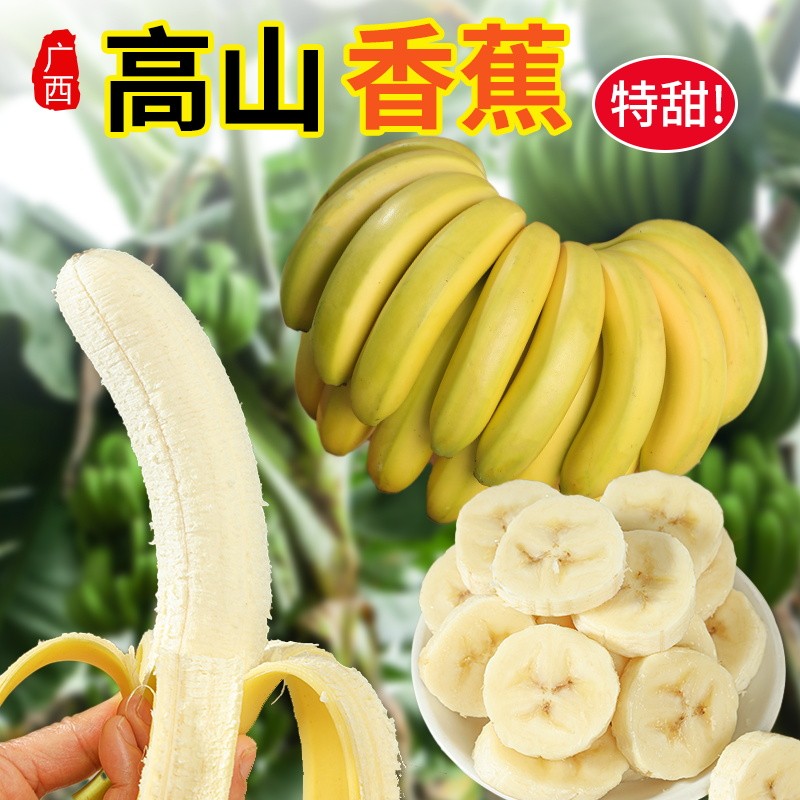 【现砍现发】广西高山甜香蕉青蕉新鲜水果5斤产地粉芭蕉软糯香甜