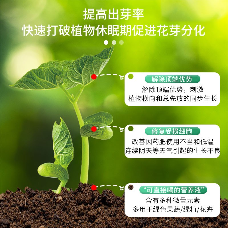 【老花医】卉玩液郎1号爆芽素有机水溶肥料催芽绿植花卉营养液