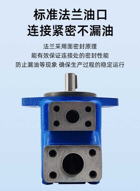 广液叶片泵YE高压油泵YEEEE2EEEE