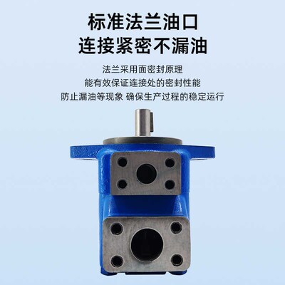 广液叶片泵YE高压油泵YEEEE2EEEE