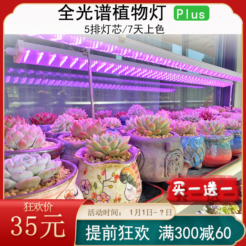 中亚多肉补光灯上色全光谱 灯生长灯室内防徒仿太阳光