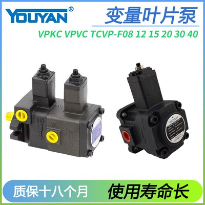 TCVVP变15量VD1D1叶片泵VE1E1 VPKC VPVC TCVP VPKCC-F20 F30 F40