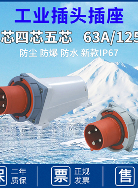 工业插座暗装明装器具插头连接器3芯4孔5针63A反式插IP67