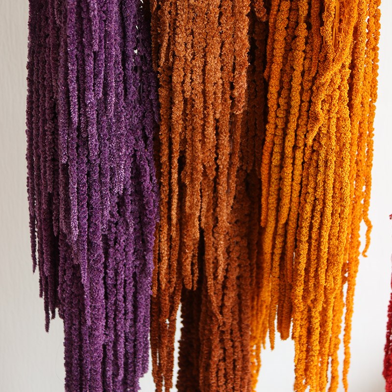 吊米永生花婚庆花材柔丽丝情人泪展会布景客厅装饰干花真花永久花