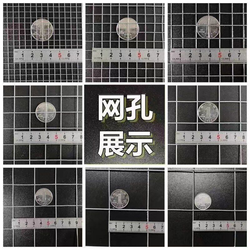热镀锌铁丝网养殖围栏隔离钢丝网格防鼠防蛇防护栅栏电焊荷兰网片