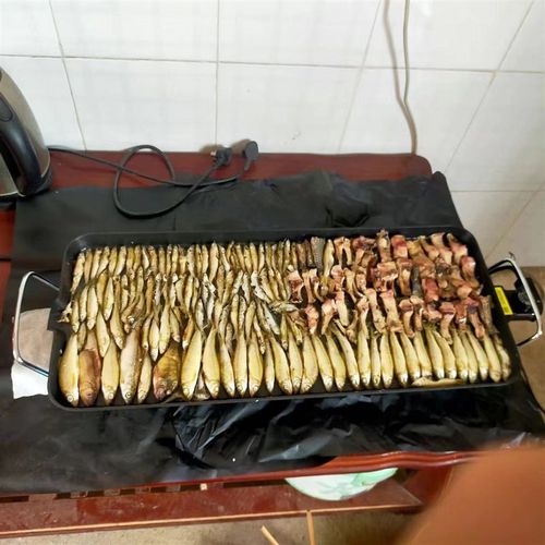 韩式多功能电烤盘 钓鱼烘干烤鱼干 低温电烤盘烘干器 钓鱼佬神器