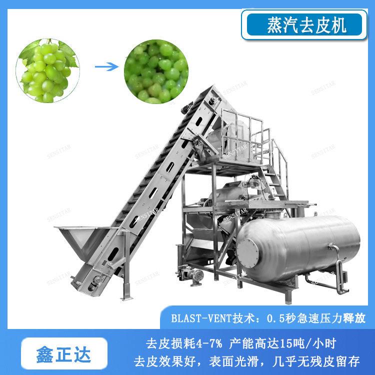 葡萄物理蒸汽去皮机黄桃温爆皮机大型蒸汽去皮设备