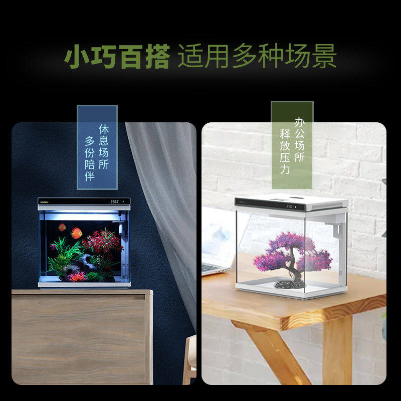森森超白玻璃小鱼缸免换水可增氧客厅小型桌面家用水族箱金鱼缸,宠物/宠物食品及用品,桌面缸,淘宝优惠券,粉丝福利购,淘宝优惠卷