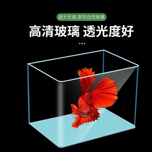 2025新款加厚热弯玻璃鱼缸长方型办公桌面水族箱生态造景龟金鱼缸