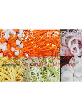 定金工厂供应 不锈钢自VWD动蔬果片丝切机家用切菜切切丁 机