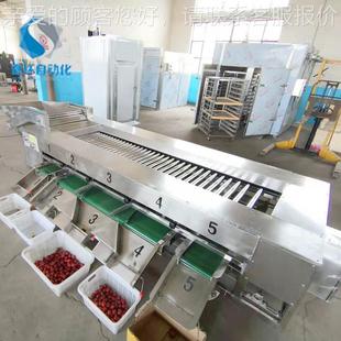 茄番分机 土豆级圆葱EWA选大枣分机 滚杠分级机