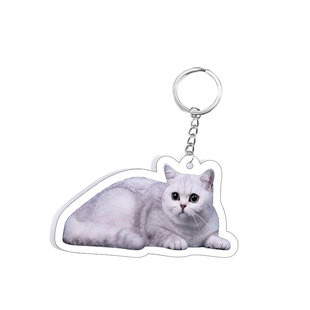 宠物挂件定制人形亚克力钥匙扣狗狗猫咪挂牌柴犬柯基英短抠图订做