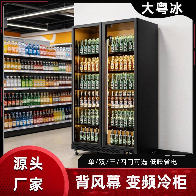 冷藏展示柜饮料冰柜双门风冷柜立式酒水柜商用保鲜柜跨境厂家