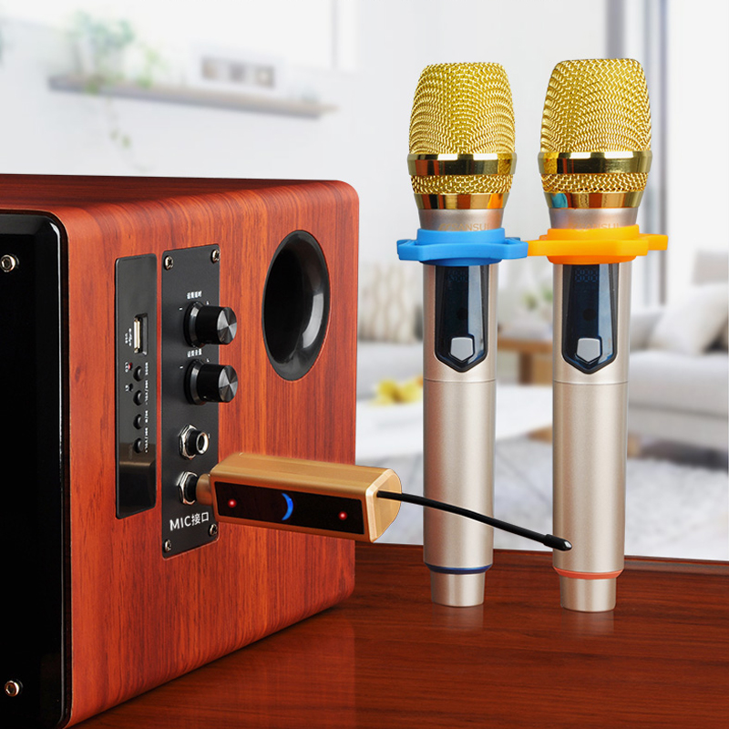 Sansui/山水M21无线话筒麦克风万能通用专业一拖二家用户外动圈歌