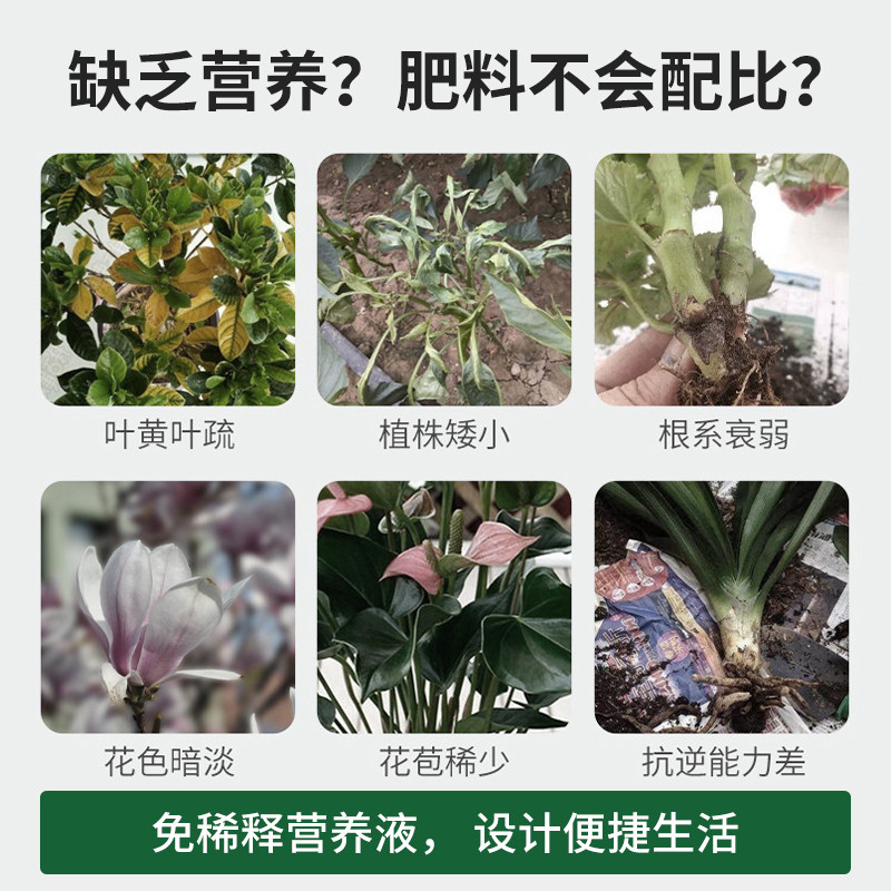 免稀释营养液通用型种花草叶面肥植物花卉室内盆栽绿叶生长活力素,鲜花速递/花卉仿真/绿植园艺,家庭园艺肥料,淘宝优惠券,粉丝福利购,淘宝优惠卷
