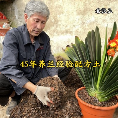 君子兰专用土兰花营养土植料腐叶炭粒松针老张头养兰配方土5.2斤