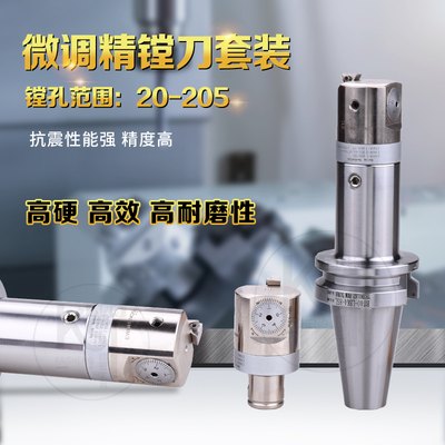 BT50微调高精镗刀头可调式套装数控镗刀杆镗孔范围BT50-EWN20-173