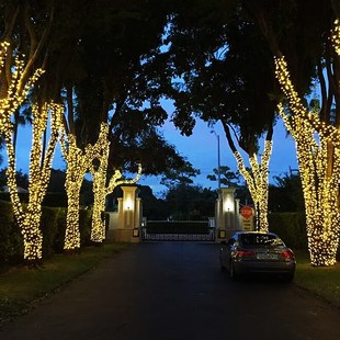网红树灯挂树上的彩灯树枝树干装饰灯满天星led灯带户外缠树灯串