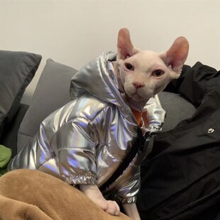 无毛猫秋冬衣服银色加厚棉衣保暖空调房斯芬克斯矮脚德文猫咪
