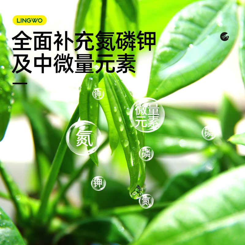 发财树专用免稀释营养液肥料专用肥幸福树富贵竹盆栽绿植物液体肥