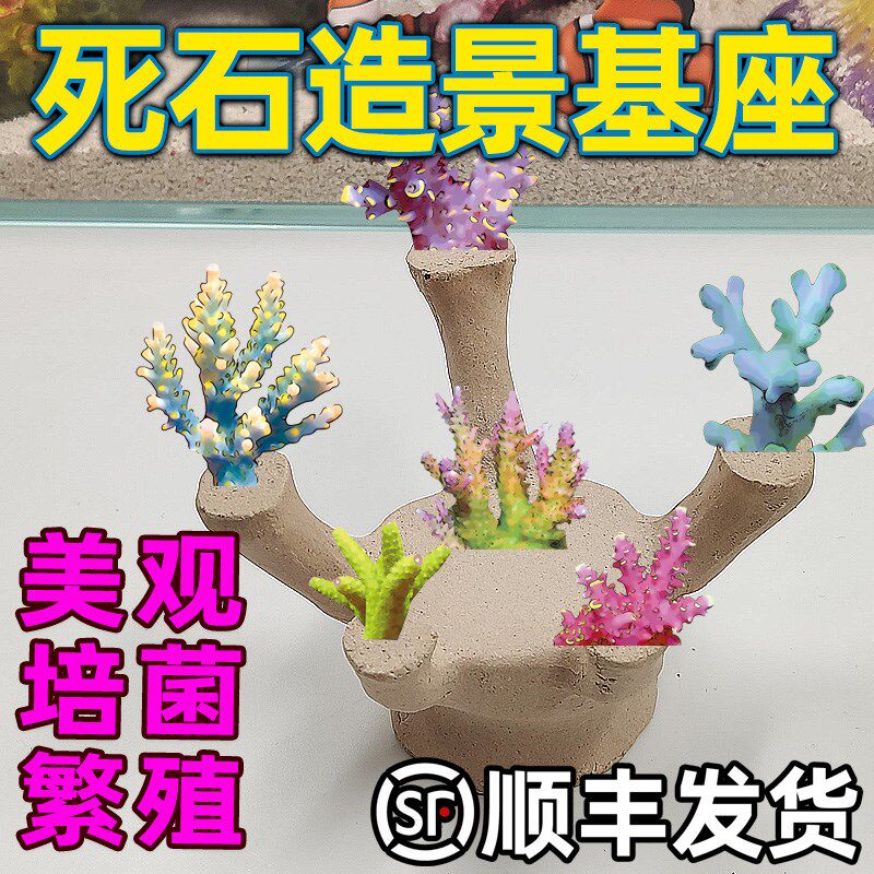 皇海五指山造景基座造型硬骨珊瑚繁殖断枝活石鱼缸水族海水缸摆件