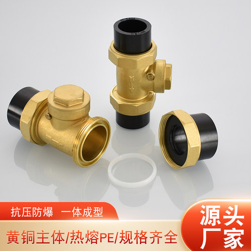黄铜主体20 25 32PE热熔卧式止回阀40 50 63黄铜主体防倒流反水
