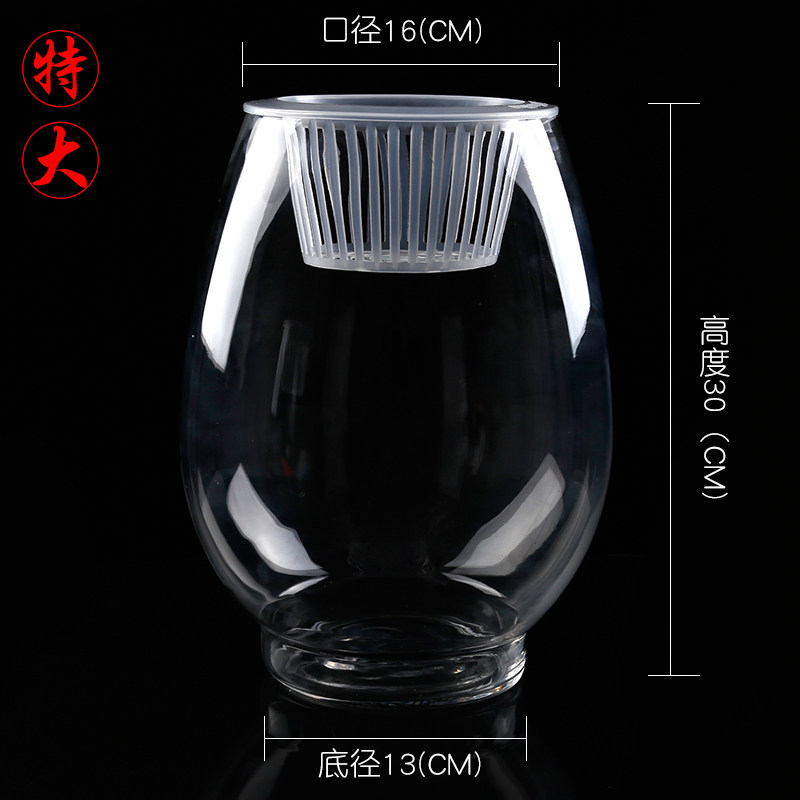 玻璃水培植物花瓶 铜钱草绿萝红掌 恐龙蛋富贵竹水养鱼缸器皿包邮