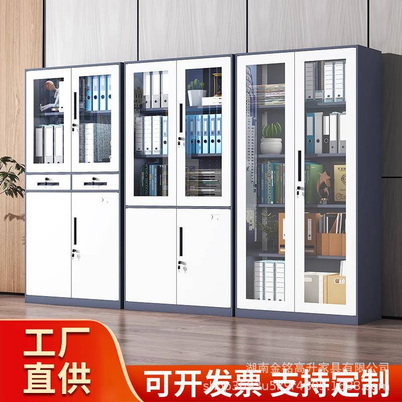 钢制办公档案财务收纳储物加厚时尚简约文件柜铁皮柜拆装柜