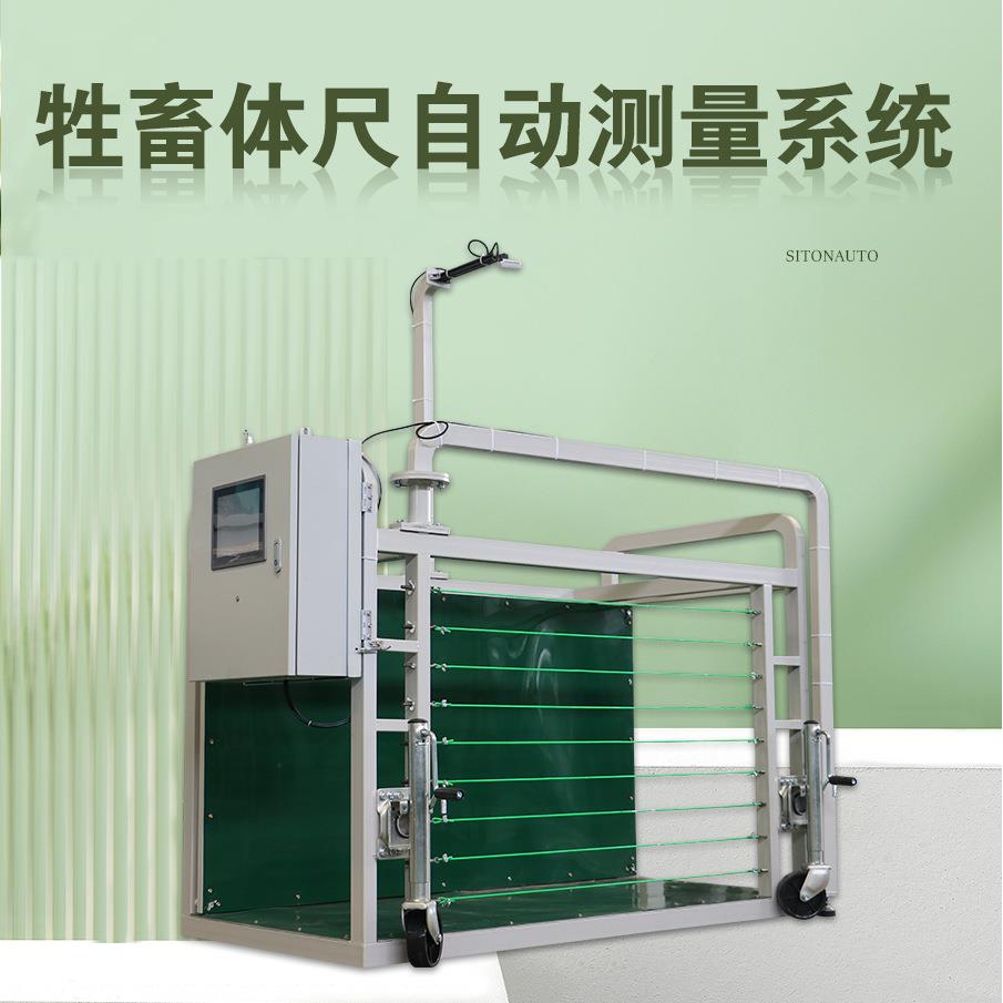 羊只体尺数据自动测量设备智能养殖机械育肥羊育种羊提升效益