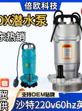 QDX潜水泵中东非洲热销沙特220v60hz欧规Submersible WaterPump