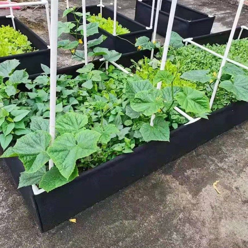 蔬菜育苗花卉种植盆 家庭园艺阳台带支架长方形毛毡种植袋,鲜花速递/花卉仿真/绿植园艺,花盆,淘宝优惠券,粉丝福利购,淘宝优惠卷