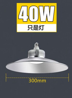 适用于工矿灯led厂房灯工厂仓库车间吊灯室内工业照明灯60W100W15