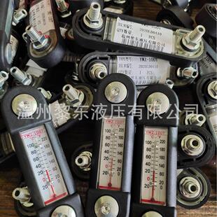 温度计 254NOT70M12有机玻璃液位计传感式 大量生产FLG127 150