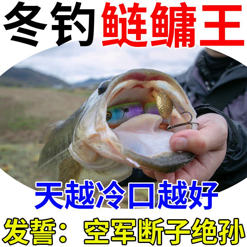 冬钓鲢鳙饵料秋冬季浮钓鲢鳙野钓通杀鲢鱼花鲢白鲢大头鱼爆护饵料