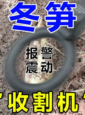 冬笋探测仪器探冬笋器挖笋神器名寻笋新款全自动竹笋金属探测器