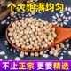 装 宗海南JFW白胡椒粒50g家白正胡椒农粉调料散家用特产