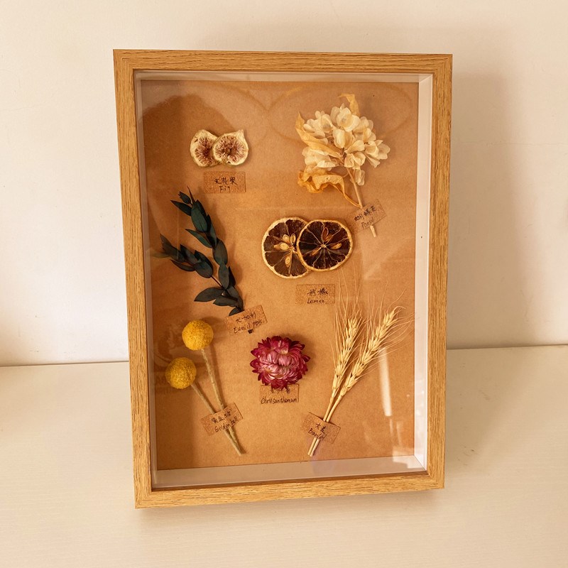 标本类立体装饰画中空防尘松果植物干花干果森系相框墙面桌面长方
