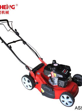 汽油草坪机四f冲程手推式自走式割草机GXV160草坪剪草机