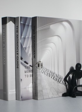 现代简约时尚样板房建筑艺术书拍摄道具办公室书柜装饰品摆件真书