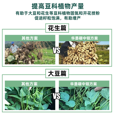 华垦硼中钼糖醇硼肥钼肥叶面肥保保果壮籽饱满补硼补钼固氮