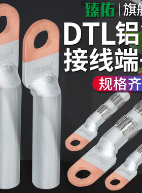 铜铝线鼻子接头过渡连接DT9平方电缆接线端子