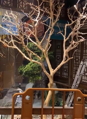 去皮干树枝造景干枝树干许愿树枯树室内造型树枝干树枝装饰树