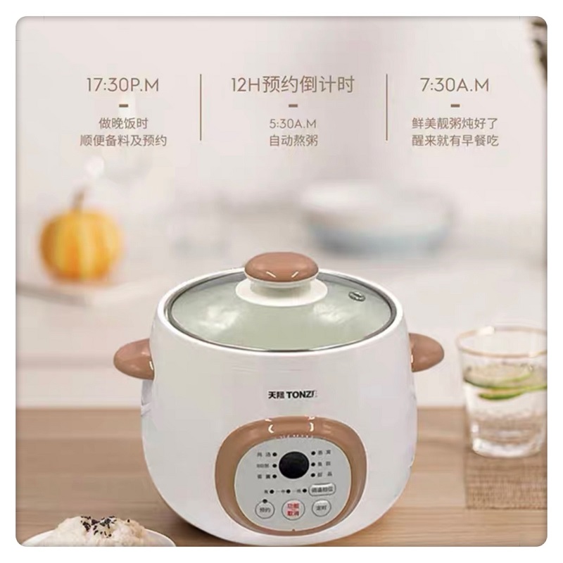 天际迷你电炖锅1-2人隔水炖全自动煲汤煮粥宝宝BB辅食燕窝炖盅