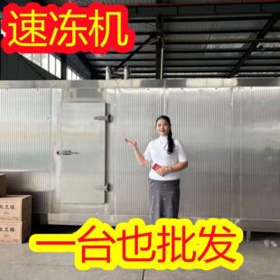 食品隧道式速冻机 连续式速冻隧道 预制菜果蔬生产线旺源机械