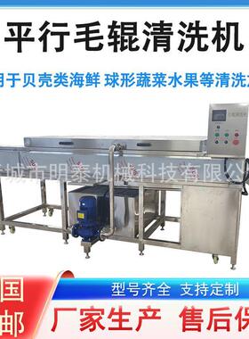 香水柠檬平行毛辊清洗机 红薯加工设备设备 海蛎子海螺去杂分选机