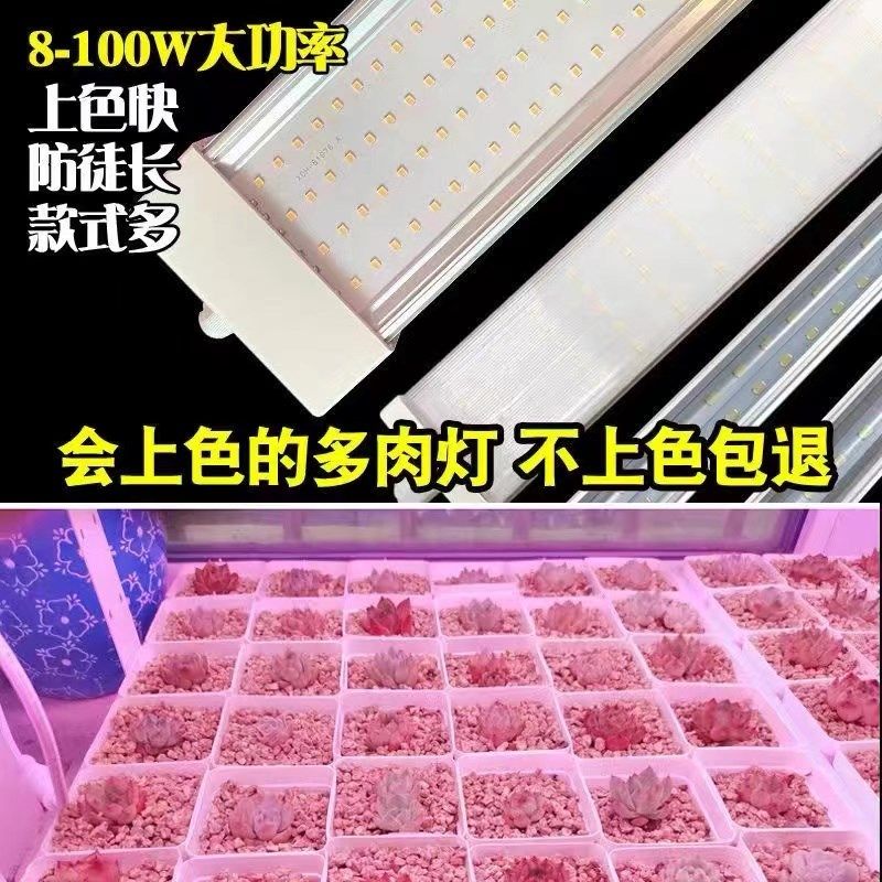 LED全光谱植物生长灯多肉上色防徒长室内花卉热植育苗灯仿太阳光,家装灯饰光源,植物生长灯,淘宝优惠券,粉丝福利购,淘宝优惠卷